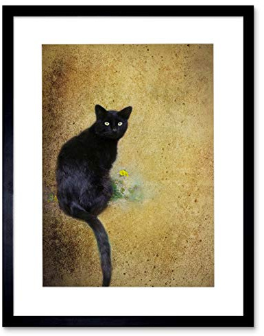 Photo Composition Cat Black Flower Yellow Cool Picture Framed Wall Art Print