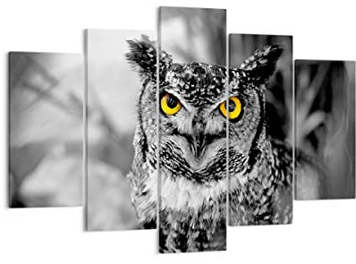 Mehrteilige Bilder auf Leinwand 150x100cm Leinwandbild Eule Vogel Natur Groß XXL Wanddeko Bild Schlafzimmer Set 5 teilige Wandbilder Dekoration Wohnzimmer Canvas Wand Kunstdruck Art EA150x100-1318