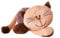 Teddys Rothenburg Kuscheltier Katze Mia, 20 cm, Schmusetier