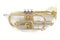 Roy Benson Bb-Kornett CR-202 (Hochwertiges, leichtes Messinginstrument, für den professionellen Einsatz, inklusivem Rechtecketui, mit Rucksackgarnitur), lackiert