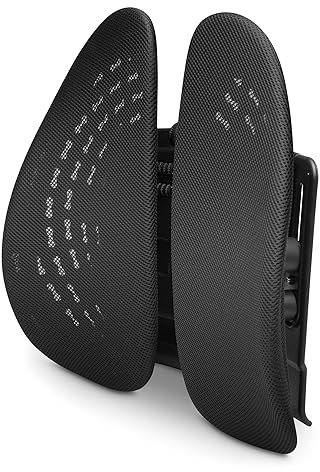 Kensington SmartFit Conform-Rückenkissen, Ergonomische und höhenverstellbare Lendenwirbelstütze für chronische Rückenschmerzen, Ideal fürs Auto und den Schreibtischstuhl, K60412WW