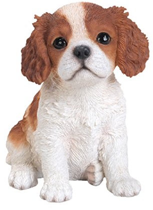 King Charles Welpen PAL von Vivid Arts