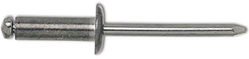 Gesipa Rivets Aveugles Gross à tête plate 5 x 16/11 mm Aluminium avec mandrin acier, lot de 500 104451177