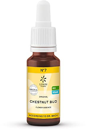 Original Bachblüten Tropfen Nr. 7 Chestnut Bud (Knospe der Rosskastanie) von Lemon Pharma, Bio & Vegan