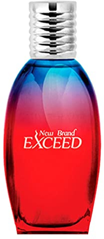 New Brand Exceed for Men - 3.3 oz EDT Spray