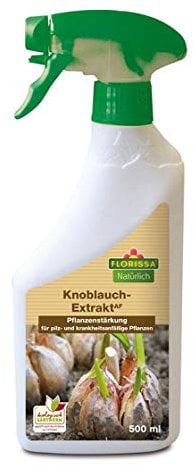 Florissa Knoblauch Extrakt 500 ml