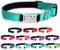Ibera gifts - Hundehalsband Personalisiert, Hundehalsband Mit Namen Für Mittelgroße Hunde, 35-50 cm, Reflektierend (Türkise, M Mittelgroß)