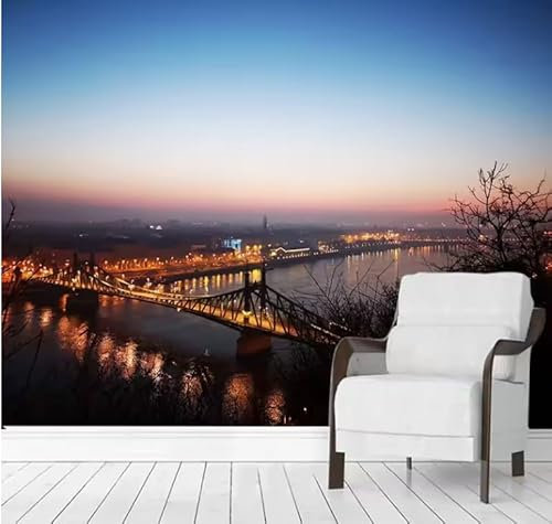 siuayosdj Papier peint mural Belle ville Lumières Vue nocturne Mural Salon Étude Chambre Papier peint, 3D, 300x210cm