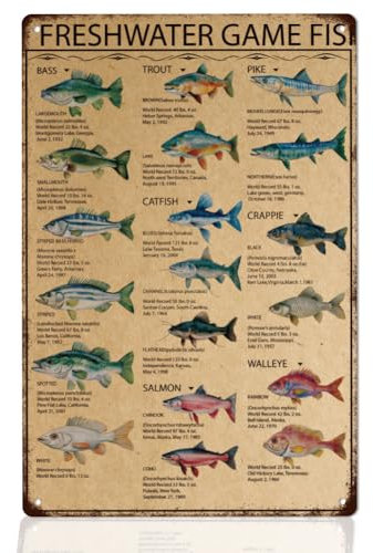 WEBEEDY Letrero vintage de metal con diseño de peces de agua dulce, decoración de pared, decoración de habitación, caza, regalos de pesca retro para hombres, habitación, cafetería, cocina, garaje,
