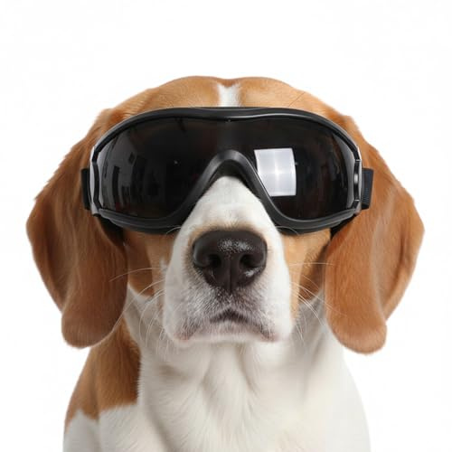 Gkhlg 1 Pair of Dog Goggles Dog Sunglasses Wind Protection Doggles with Soft Straps Doggles for Small Medium Breeds for Hiking Snow Car Rides Pet Photoshoots and Daily Park Visits (L)