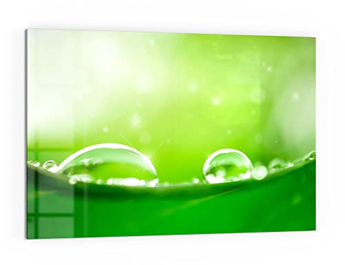 DEQORI Küchenrückwand Glas | Motiv Tautropfen auf Blatt | 60x40 cm | Bad- oder Herd-Rückwand | Herdblende Spritzschutz für Küche & Badezimmer | moderne Deko für Fliesenspiegel