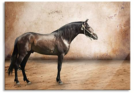 Pixxprint Glasbild, Wandbild aus Echtglas, Brauner Hengst, 60x40 cm, inkl. Aufhängung und Abstandshalter