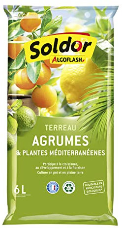 ALGOFLASH Terreau Agrumes et Plantes Méditerranéennes, UAB, Prêt à l'Emploi, Fabriqué en France, 6 L, TAGRUM6