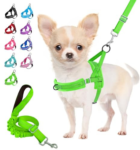 Eyein Hundegeschirr mit Leine für mittelgroße Kleine Hunde, Weich gepolsterter No-Pull Brustgeschirr mit 2 Leinenclips, Leichtgewicht Reflektierend Geschirr Hals und Brust verstellbar (Grün, XS)