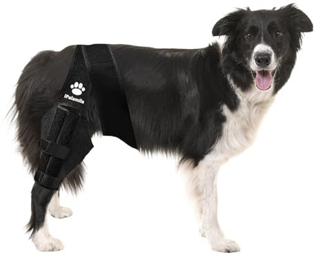 iPalamila Dog Knee Brace, Adjustable Dog Leg Brace, Dog Leg Wound Protector, Dog Leg Warmers for Knee Dislocation, Arthritis, Hip Dysplasia, Cruciate Ligament Injury (with 2 support strips) (M)