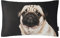 Proflax Kissenhülle 6639 | 100 natur - 30 x 50