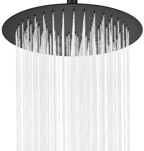 Auralum Pomme de Douche Pluie 12 Pouces (30 x 30 cm) Ronde, Acier Inoxydable, Buses Auto-Nettoyantes Réglables à 360°, Noir