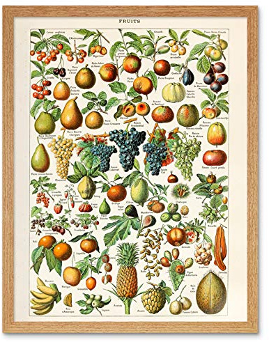 Artery8 Millot Nature Enzyklopädie Seite Frucht Traube Ananas Gerahmter Druck 30x40 cm