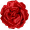 Pince à Cheveux Fleur Rose, Broche Rose Tissu,Pince Cheveux Broche Deux en un, Convient aux Filles et aux Dames pour les Fêtes et les Mariages (Rouge)