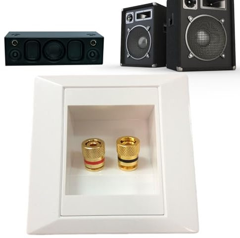 Banana Flat Wall - Speaker Wire Wall - Narrow Connection, Two Speaker Sockets Flat Gold Wall, Banana Wall Plate for 1 Speaker