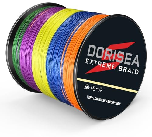 Dorisea, lenza da pesca intrecciata Extreme Braid in 100% Pe, lunghezza 300 metri, test 2,7-136 kg (multicolore, 2,7 kg/0,10 mm)
