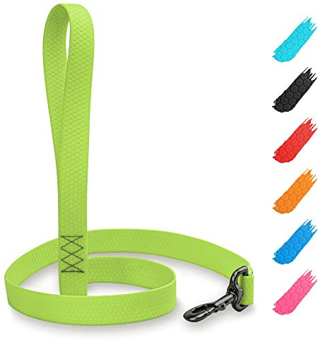 WAUDOG Wasserfest Schleppleine für Hunde - Grüne, 122 cm Nylon Leine für kleine und mittelgroße Hunde