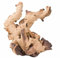 Biotope Aquatics Ltd Mopani - Acquario affondabile – varie misure – legno naturale di palude per pesci decorazione in legno per paesaggio, felce di Giava o muschio (taglia XXL)