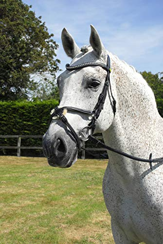 Rhinegold Cuir italien anatomique Cheval Bride avec muserolle mexicaine, noir