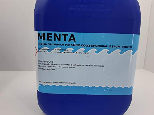 Esencia concentrada para sauna, baño turco y ducha emocional 1 litro/5 litros (menta, 5 litros)
