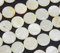 Perlin - Perlmutt Muscheln Perlen Weiß 12mm 1 strang Münze Scheibeform Natur Pearl Beads Perle zum fädeln muschelkernperlen U89