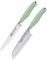 Stainless Steel 2pc Knife Set - Taylors Eye Witness Lichen Syracuse Collection, 13cm Santoku and All Purpose Knife, Fine Cutting Edge, Razor Sharp Blade, Soft Grip with Green Rubberised Handle