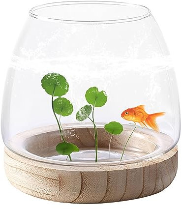 Small Glass Vase, Small Fish Tank Glass Vase Fish Bowl Vases Hydroponic Transparent Plant Vases for Home Office Decor