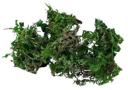 Operitacx Decoración Artificial Musgo Realista Mini Adorno De Plantas para Jardín