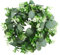Xbessc 35cm Künstliche Eukalyptus Kranz Grün Türkranz Ganzjährig Kranz Frühling Plastik Türkränze Frühlingskranz Haustür Wandkranz für Hochzeit Tür Party Fenster Garten Wand Kamin Dekoration