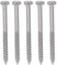 Dilwe 50 pcs Bass Pickup Schrauben, vernickelt Stahl, M3 x 36 mm, Premium, Nickel, Rundkopf, Rechtsgewinde, 50 Stück, JB Jazz Bass
