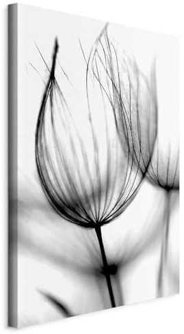 murando - Leinwandbild Natur Blume Monochrom, 40x60 cm, 1-teilig, modern | Hochwertige Leinwand, sofort aufhängbar, ideal fürs Wohn- oder Schlafzimmer, wasserfest und lichtecht, langlebig, stilvoll