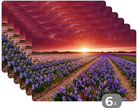 Placemats Platzdeckchen Platzset Tischset 6-teilig Tischdeko Untersetzer 45x30 cm Hyazinthen in der niederländischen Landschaft