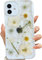 Riccase for iPhone 11 Case Clear with Real Dried Flower Patterns, Shockproof Transparent Soft TPU Protective Bumper Slim Glitter Cute Floral for iPhone 11 Phone Case,Daisy