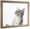 myposterframe Komfort Juno 70 x 100 cm Rahmen Sonoma Eiche