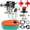 Ewillownm Kompatibel mit 591137 Vergaser für Briggs Stratton 591597 216852 590780 593380 591137 110P02 110P05 8,75 875 Serie