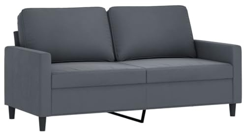 vidaXL Sofa 2-Sitzer, Loungesofa Couch mit Armlehnen Rückenkissen, Wohnzimmersofa Designsofa Metallgestell, Sitzmöbel Zweisitzer, Dunkelgrau Samt