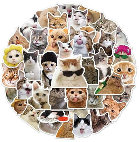 MORAINJAY 100pcs Cute Funny Cat Stickers for Kids,Cartoon Theme Water Bottle Stickers for Teens Boys Girls,Aesthetic Cat Anime Vinyl Stickers Party Favors for Kids Party Bags Filler,Laptop,Skateboard