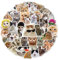 MORAINJAY 100pcs Cute Funny Cat Stickers for Kids,Cartoon Theme Water Bottle Stickers for Teens Boys Girls,Aesthetic Cat Anime Vinyl Stickers Party Favors for Kids Party Bags Filler,Laptop,Skateboard