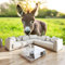 Tapete Fototapete 3d Effekt Tiere Esel Gras 200x140cm Wandbild Wanddeko für Wohnzimmer Schlafzimmer, GrüN Vlies Tapeten mit Geruchsfreiheit Wandposter Wandkunst