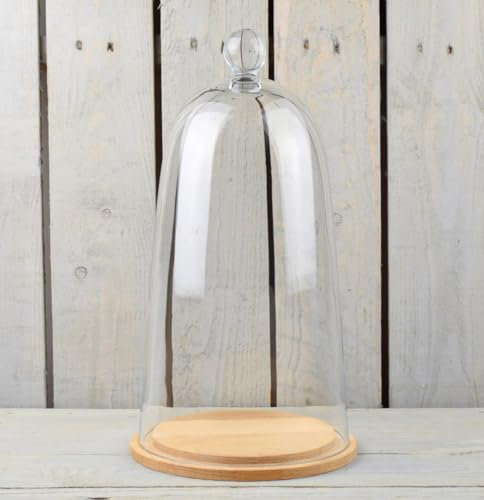 EMH Große mundgeblasene Glasglocke mit natürlichem Boden, 38 x 19 cm