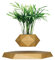ETRAVEL Pot de fleurs en lévitation en bois pour plantes grasses, cactus - Décoration en lévitation magnétique pour la maison et le bureau - Marbre (marron)