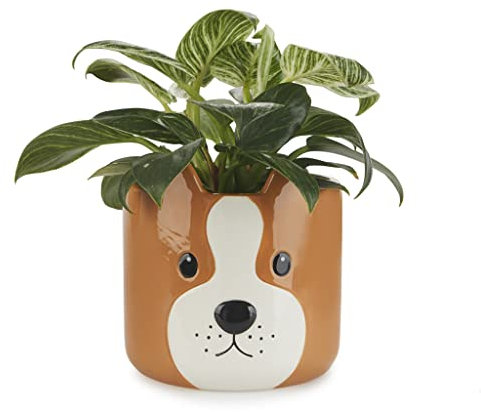 Balvi Pot de Fleurs Woof Couleur Marron Pot Original en Forme de Chien Céramique 13,5x13,5x13,5 cm