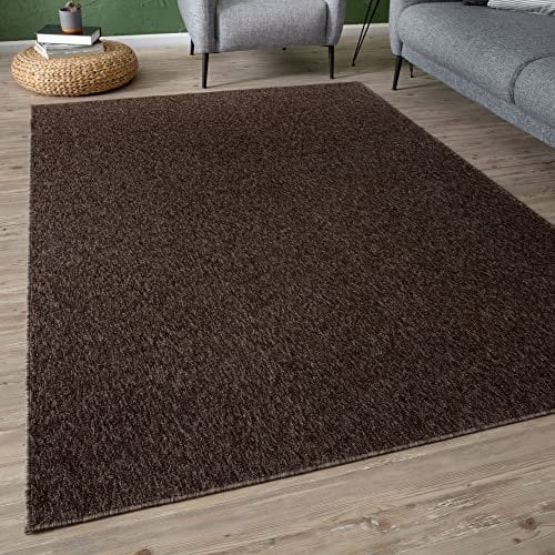 THE RUGS Low Pile Area Rugs – Modern Indoor Rugs for Living Room, Bedroom, Dining Room, Entryway – Non-Shedding (Brown, 140x200 cm)