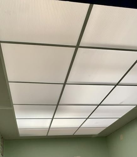 Placas para falso techo de policarbonato alveolar transparente o translucido (packs de 10 unidades) (10mm transparente)