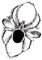 Windalf Spinnen Ring SPY h: 2.6 cm mit schwarzem Onyx 925 Sterlingsilber (Silber, 52 (16.6))